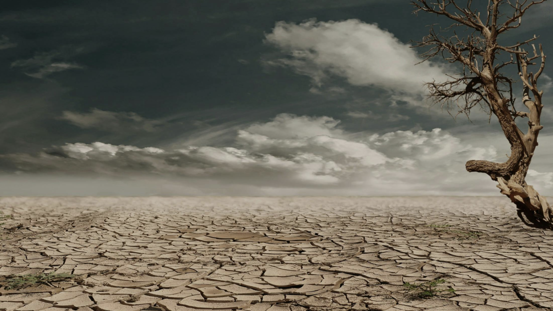 Monat der Hautgesundheit 2025: Wie der Klimawandel unsere Haut angreift