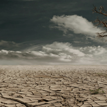 Monat der Hautgesundheit 2025: Wie der Klimawandel unsere Haut angreift