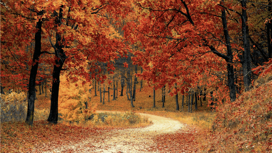 Sonnenschutz im Herbst