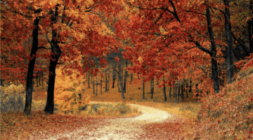Sonnenschutz im Herbst