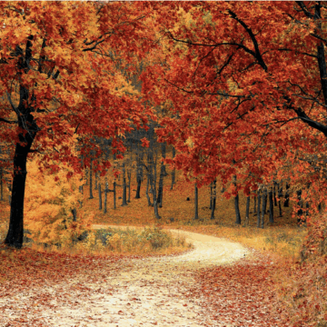 Sonnenschutz im Herbst