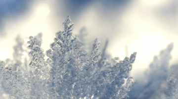 Hautpflege bei klirrender Kälte: Mit der richtigen Kombination aus Schutz und intensiver Pflege lässt sich der Winterzauber genießen.