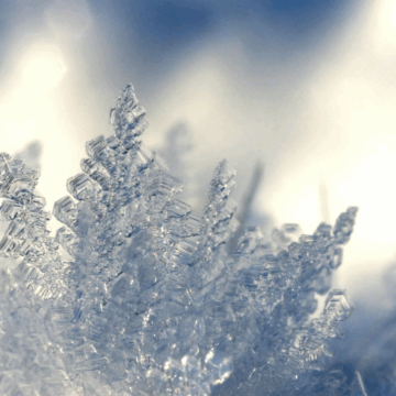 Hautpflege bei klirrender Kälte: Mit der richtigen Kombination aus Schutz und intensiver Pflege lässt sich der Winterzauber genießen.