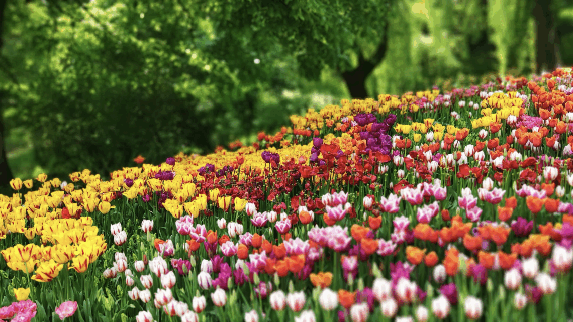 Frühling für Ihre Haut? Tipp: Kombination aus sanfter Reinigung, leichter Hydratisierung und konsequentem Sonnenschutz.